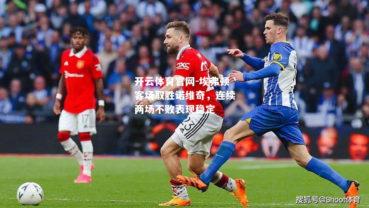埃弗顿客场取胜诺维奇，连续两场不败表现稳定