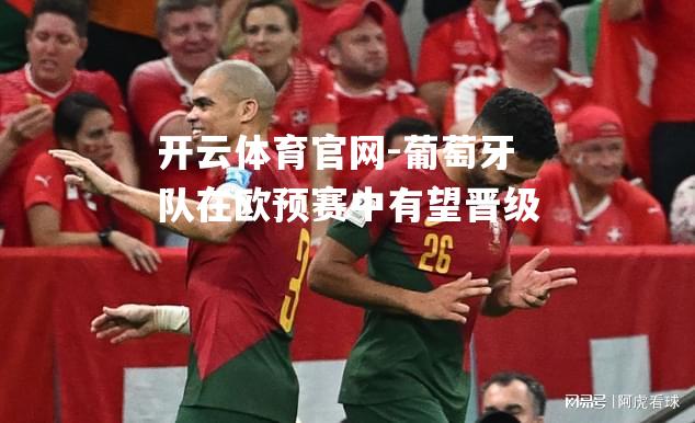 葡萄牙队在欧预赛中有望晋级