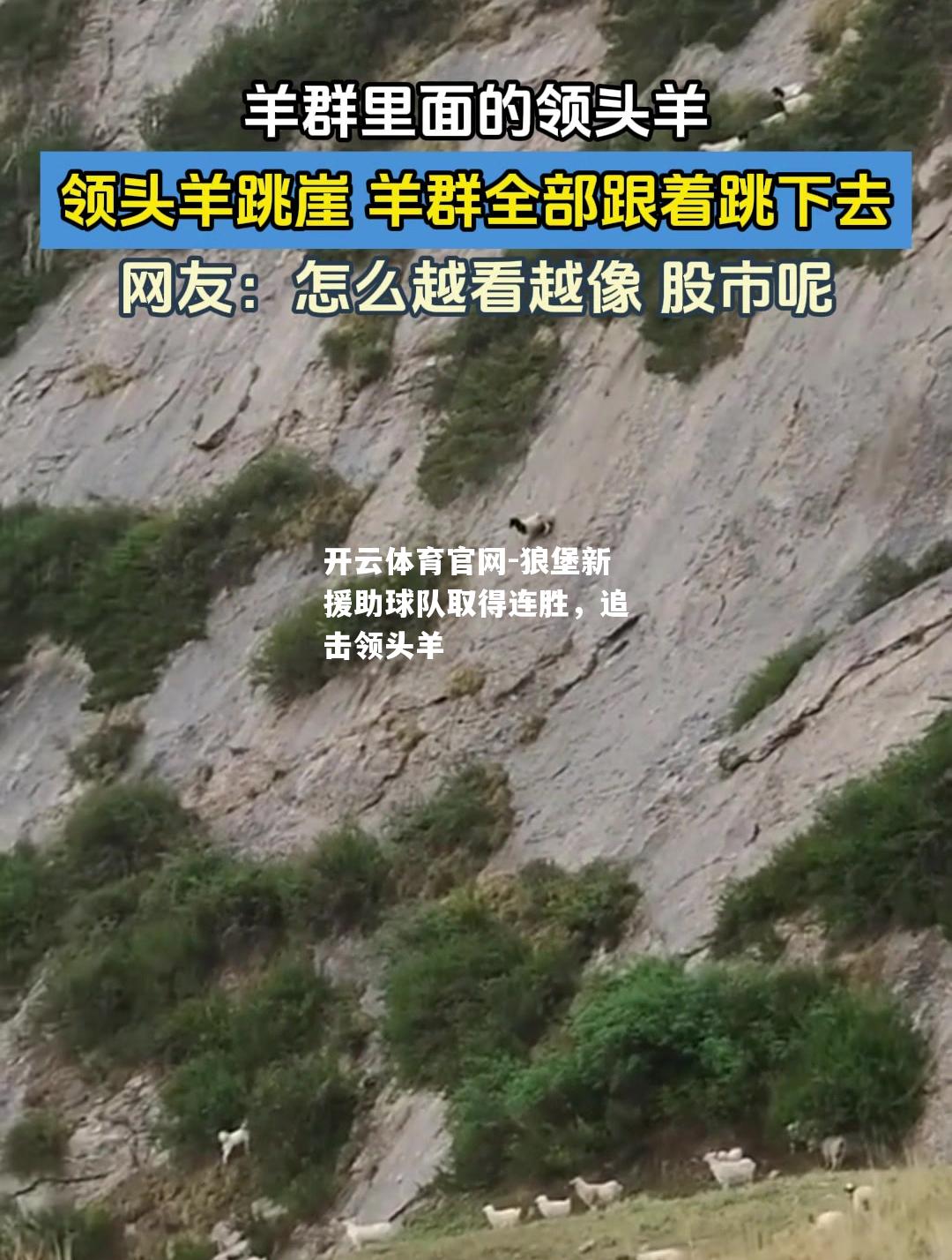 狼堡新援助球队取得连胜，追击领头羊