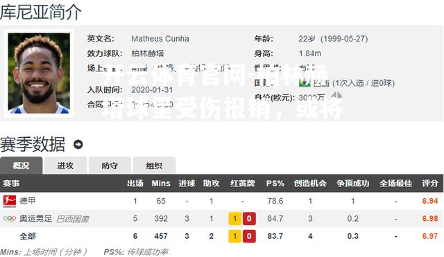 柏林赫塔球星受伤报销，或将影响球队排名