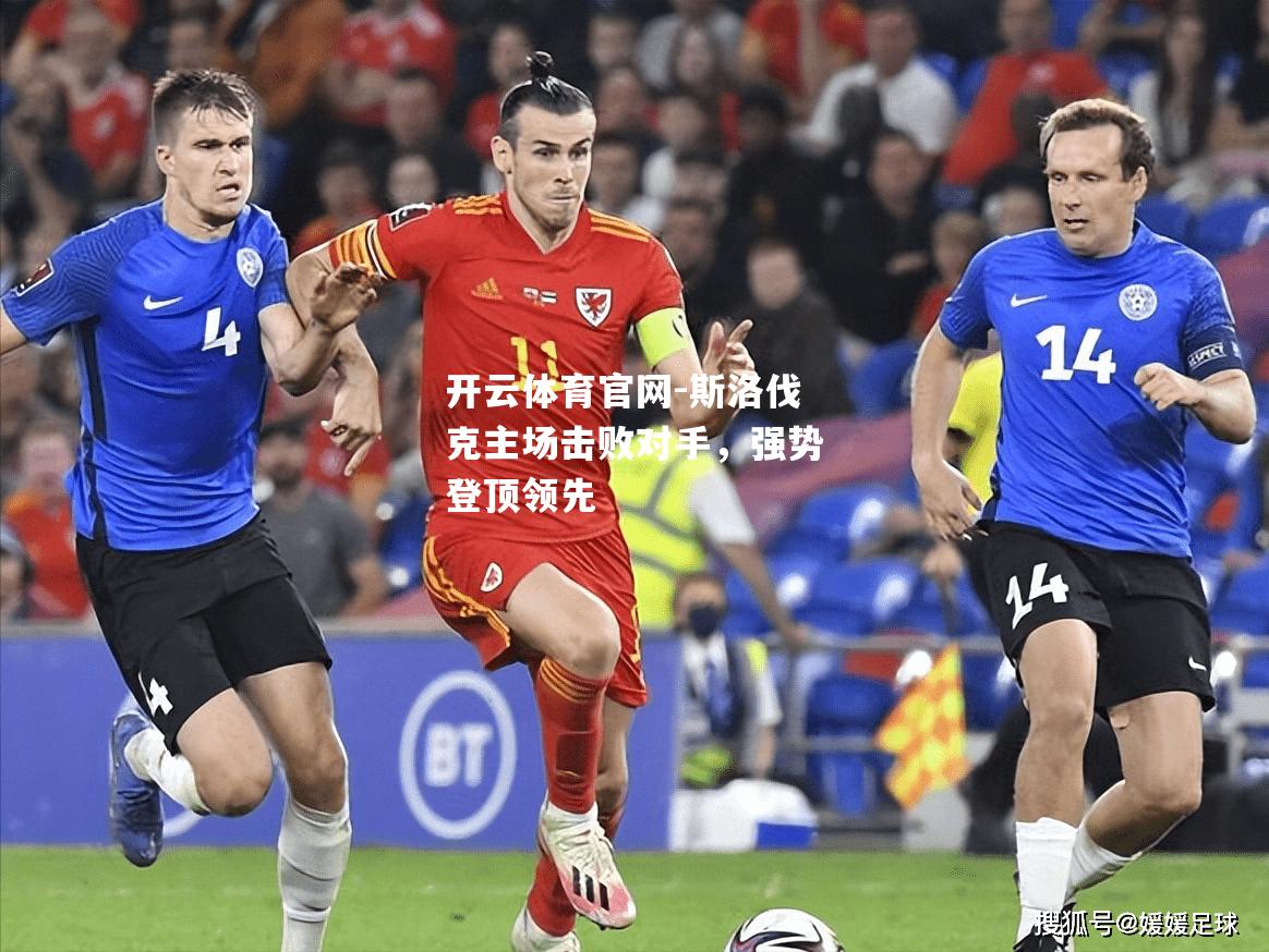 斯洛伐克主场击败对手，强势登顶领先